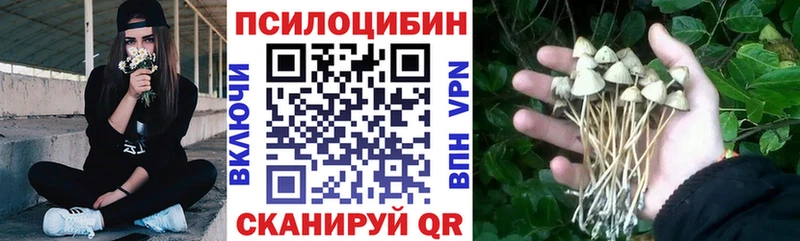 Псилоцибиновые грибы ЛСД где купить наркоту Сургут