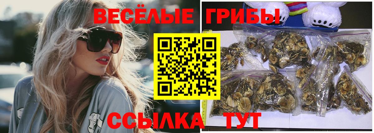 Псилоцибиновые грибы ЛСД  Сургут 