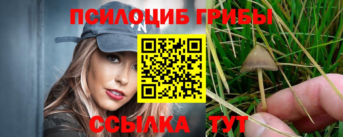 Сургут  Галлюциногенные грибы Magic Shrooms  Вход с VPN 